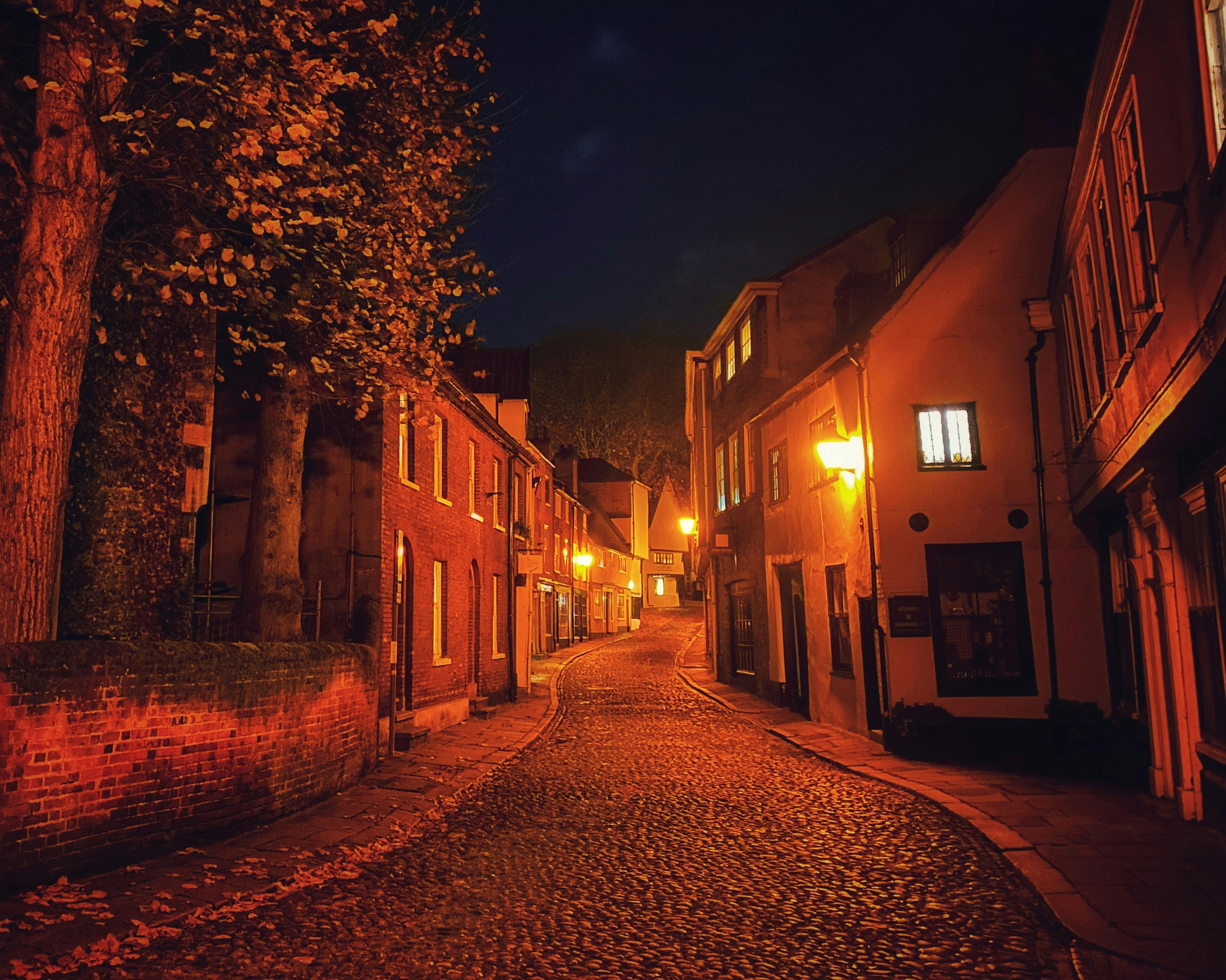 Photograph of Norwich at night.
