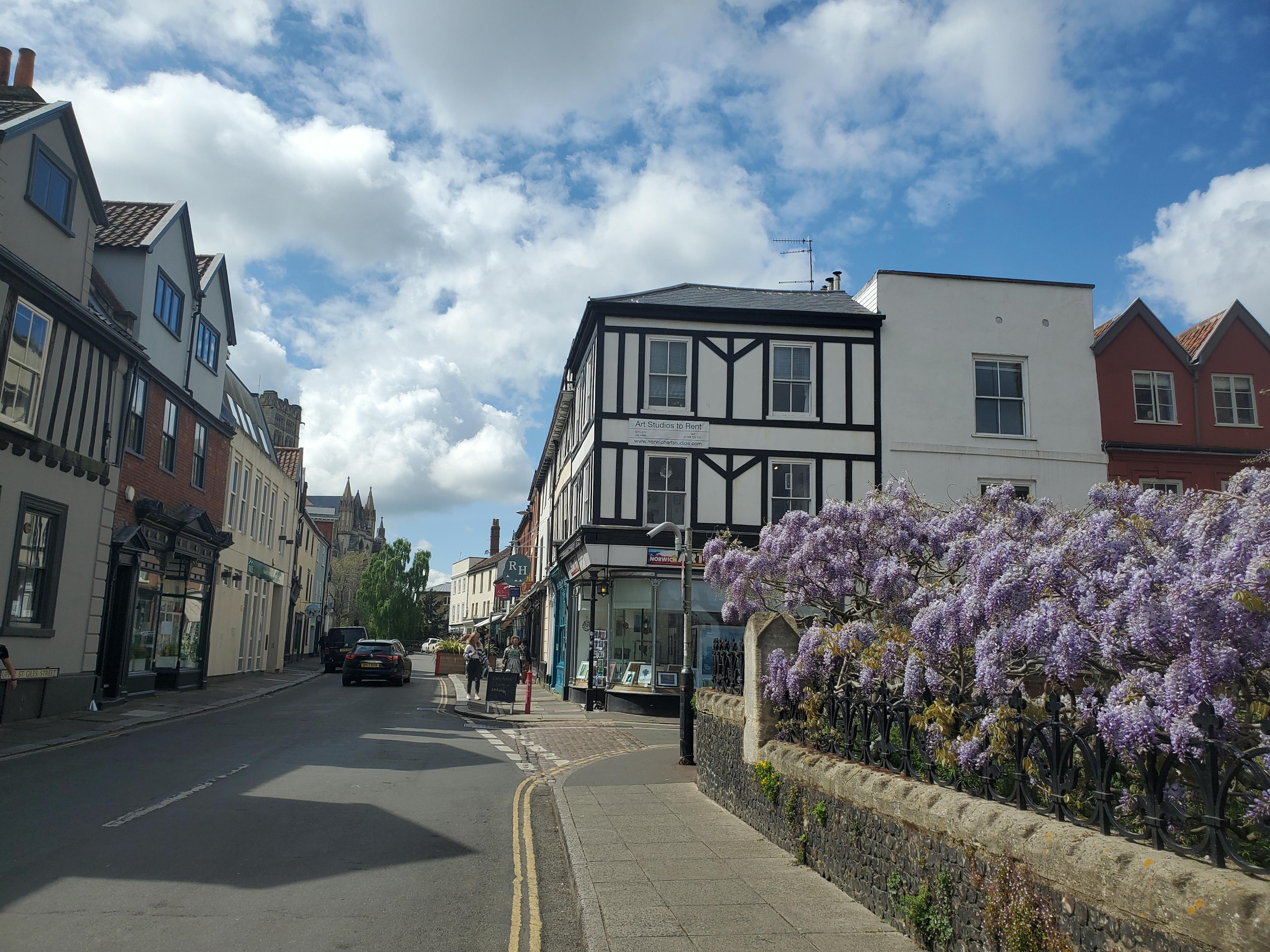 Photograph of Norwich in spring time.